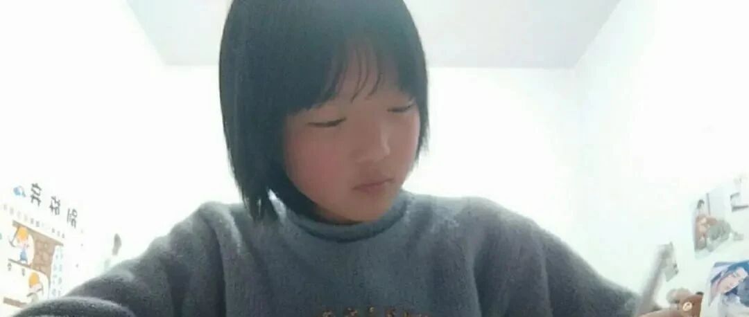 蟠龙二中学生王子璇优秀个人事迹