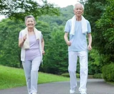 有氧运动增强肌肉提高线粒体呼吸功能让人的肌肉变得更年轻