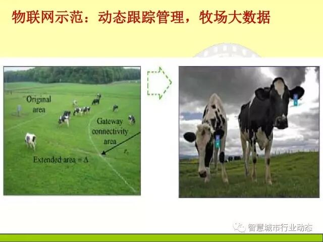 中国科学院大学课程：大数据体系结构及技术解决方案【PPT】