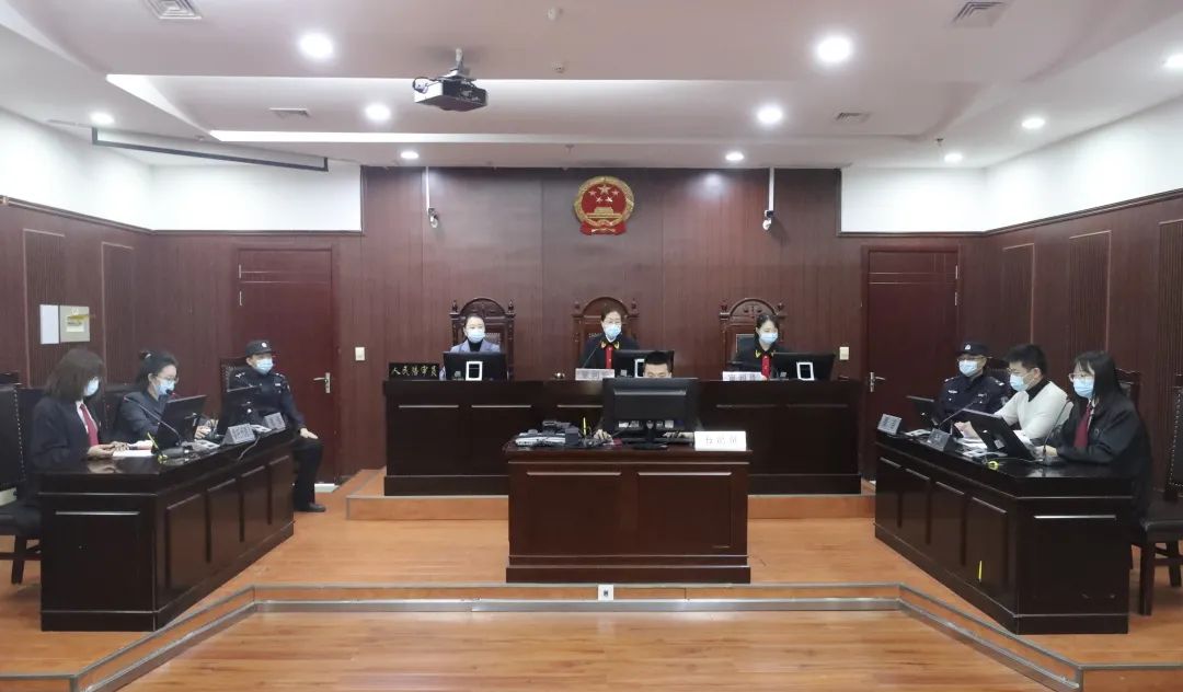 我为群众办实事家事审判模拟法庭活学民法典
