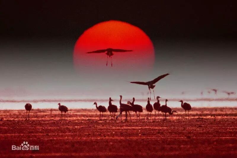 鄱阳县属于哪个市_鄱阳县是县级市吗_鄱阳县归哪个市