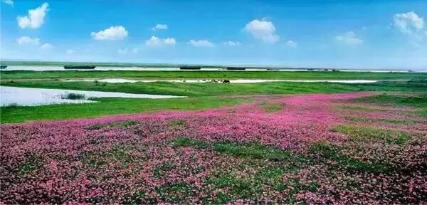 鄱阳县归哪个市_鄱阳县是县级市吗_鄱阳县属于哪个市