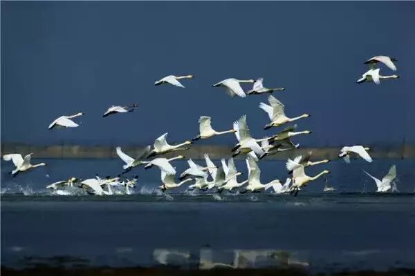 鄱阳县是县级市吗_鄱阳县属于哪个市_鄱阳县归哪个市