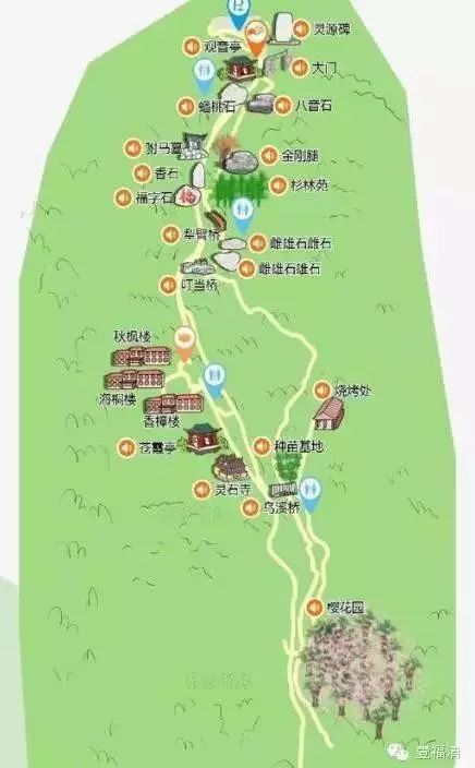 除了灵石山国家森林公园里的樱花,还有这些地方可以赏樱花
