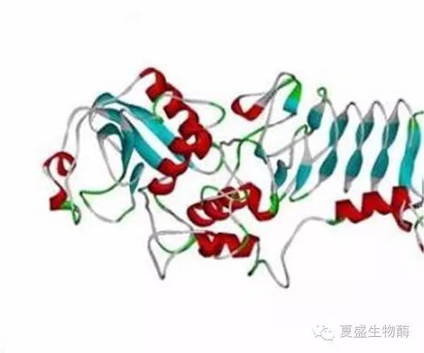 1.1.27)催化下列反应: 乳酸脱氢酶催化反应