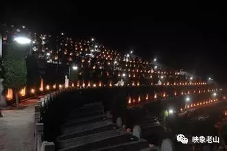 又到老山木棉花盛开时,还有多少烈士英魂牺牲30多年还在期盼三尺墓地? - 夏季草原 - 夏季草原的博客 又到老山木棉花盛开时,还有多少烈士英魂牺牲30多年还在期盼三尺墓地? - 夏季草原 - 夏季草原的博客