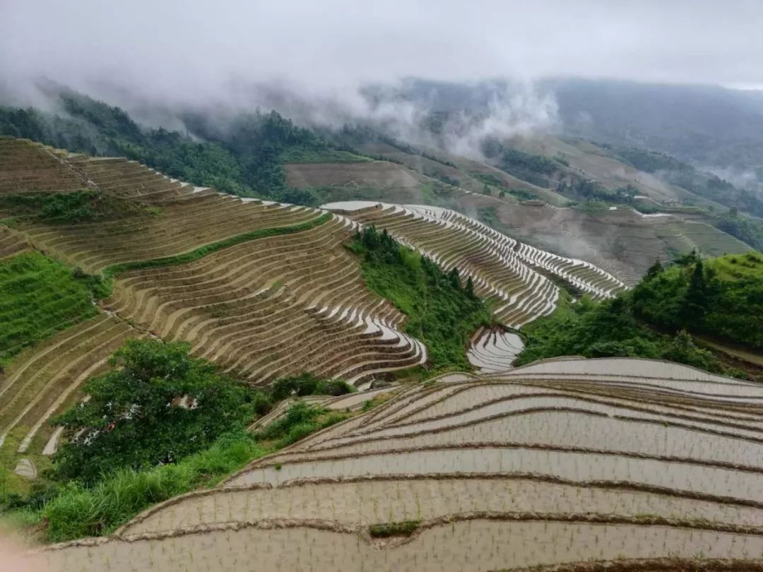 广州到桂林阳朔自助游攻略_桂林阳朔自由行攻略能将_阳朔桂林自助游攻略