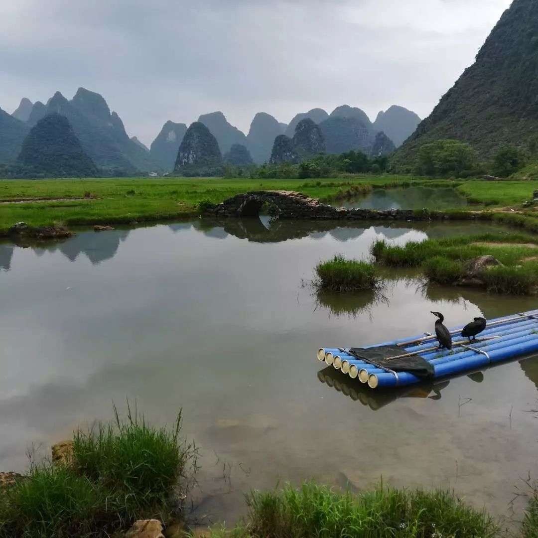 广州到桂林阳朔自助游攻略_阳朔桂林自助游攻略_桂林阳朔自由行攻略能将