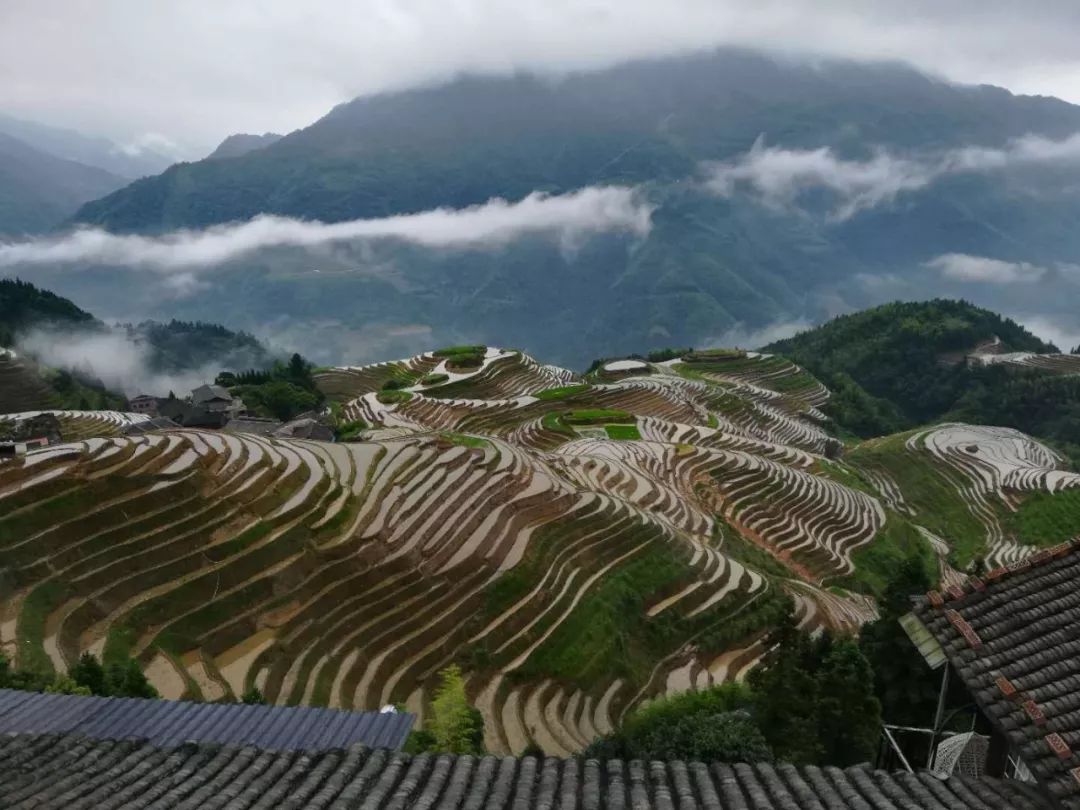 阳朔桂林自助游攻略_广州到桂林阳朔自助游攻略_桂林阳朔自由行攻略能将