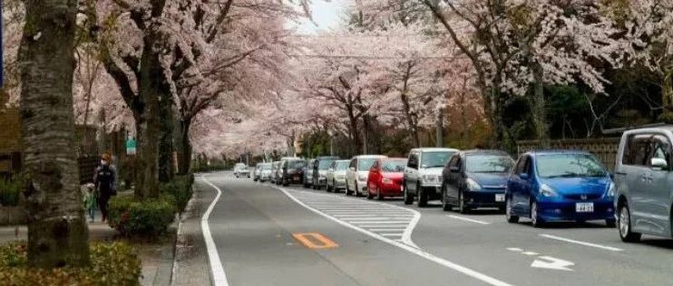 移民日本|日本停车场居然这么设计!每一种都很难复制!