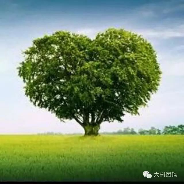 “退烧药”_崔玉涛退烧药用量表_崔玉涛退烧药推荐