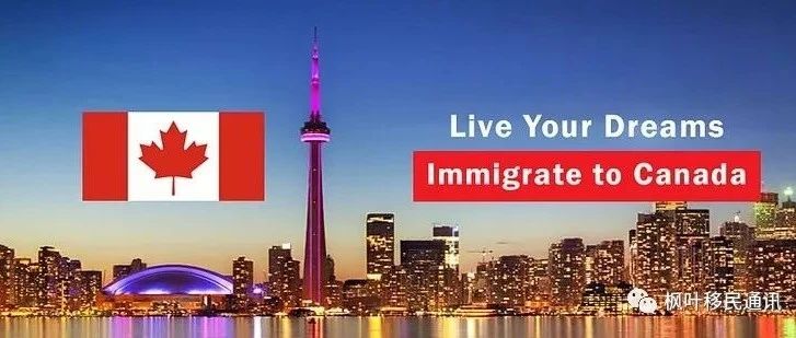2020年加拿大移民分析