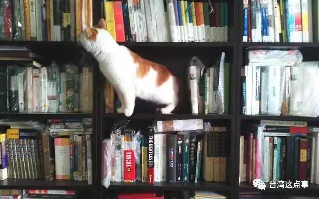 繁体间字怎么写_间繁体字_繁体间字笔顺图