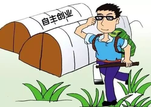 安徽省农民工返乡创业项目_农民返乡创业主要模式_返乡农民创业调研报告