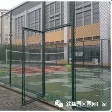 学校围栏网@阿娇的脸怎样僵成这样了?跟蔡卓妍站一同都没法做表情!