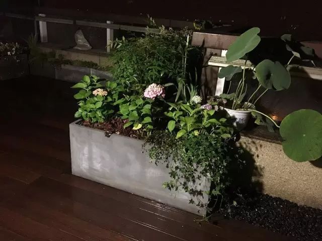 戶(hù)外塑木地板價(jià)錢(qián)_塑木地板價(jià)格是多少_塑木木塑戶(hù)外地板