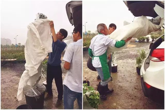 塑木地板價格是多少_塑木木塑戶外地板_戶外塑木地板價錢