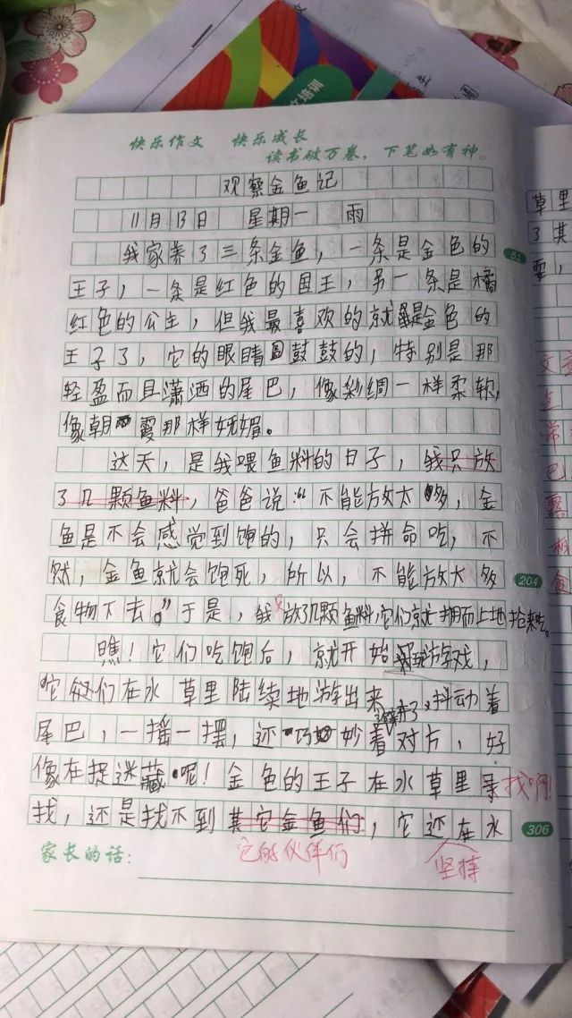 开心补习社·快乐作文|孔俊杰的作文《观察金鱼记》