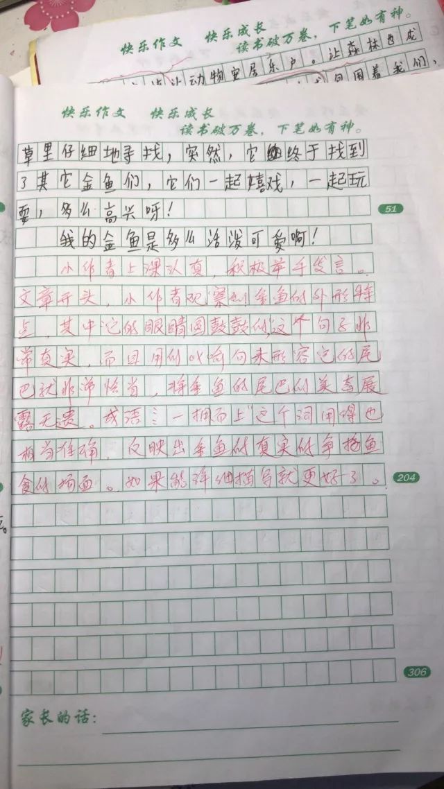 开心补习社·快乐作文|孔俊杰的作文《观察金鱼记》