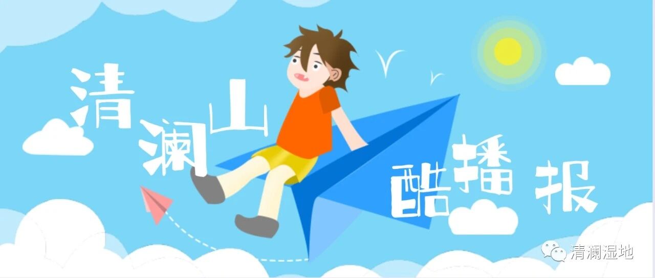 【青春语文·王君专栏】清澜酷播报：马铭轩作品《父辈与我们的理念不合，如何跨越？》推荐
