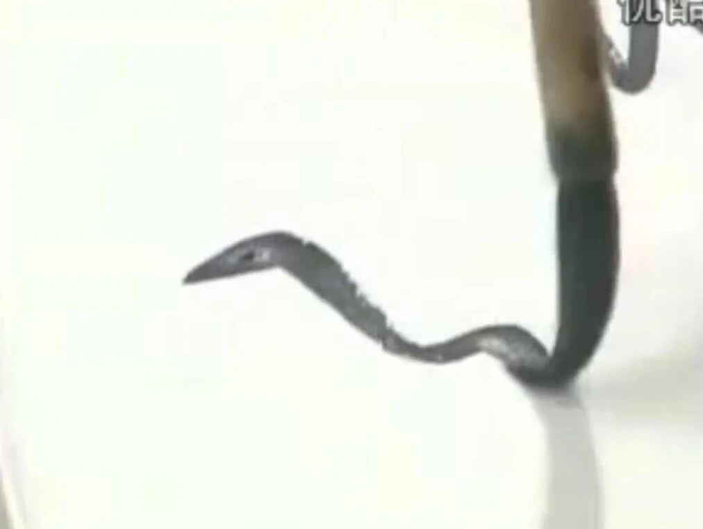 一个字能