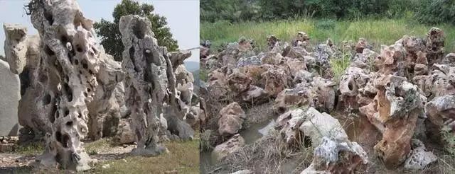 青千层石鱼缸造景_松皮石鱼缸造景_千层石鱼缸造景图片