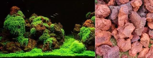 青千层石鱼缸造景_千层石鱼缸造景图片_松皮石鱼缸造景