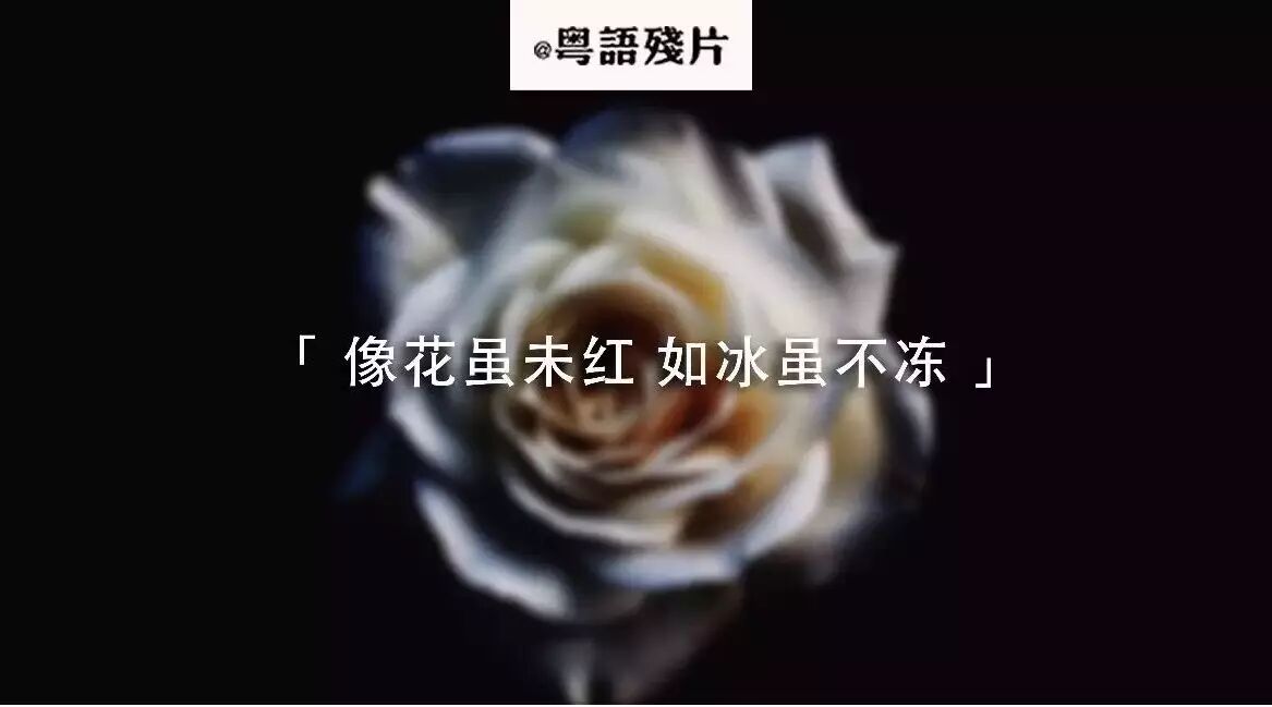 张学友 | 李香兰