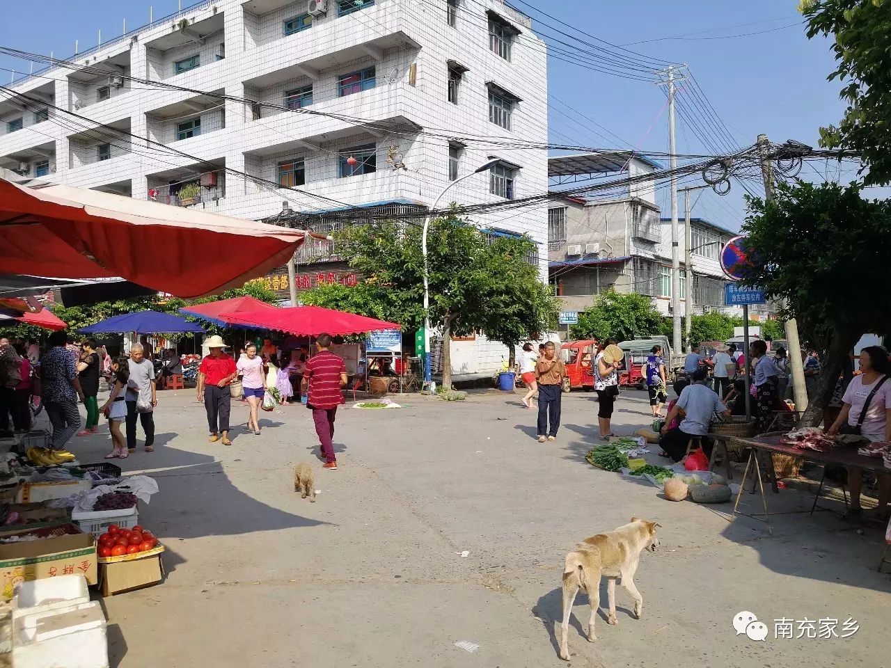 走遍南充之顺庆(8):锦绣嘉陵铺画卷,渔溪山水入梦来