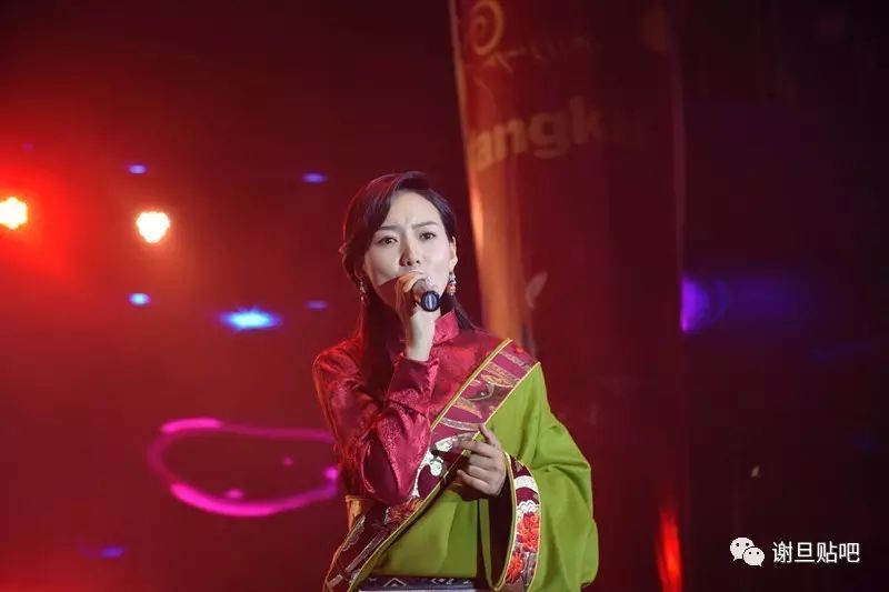 泽旺拉姆,藏族青年女歌手,来自甘孜州炉霍县,2012年首张母语个人专辑