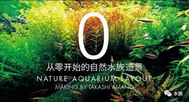 今年 我们从零开始 自由微信 Freewechat