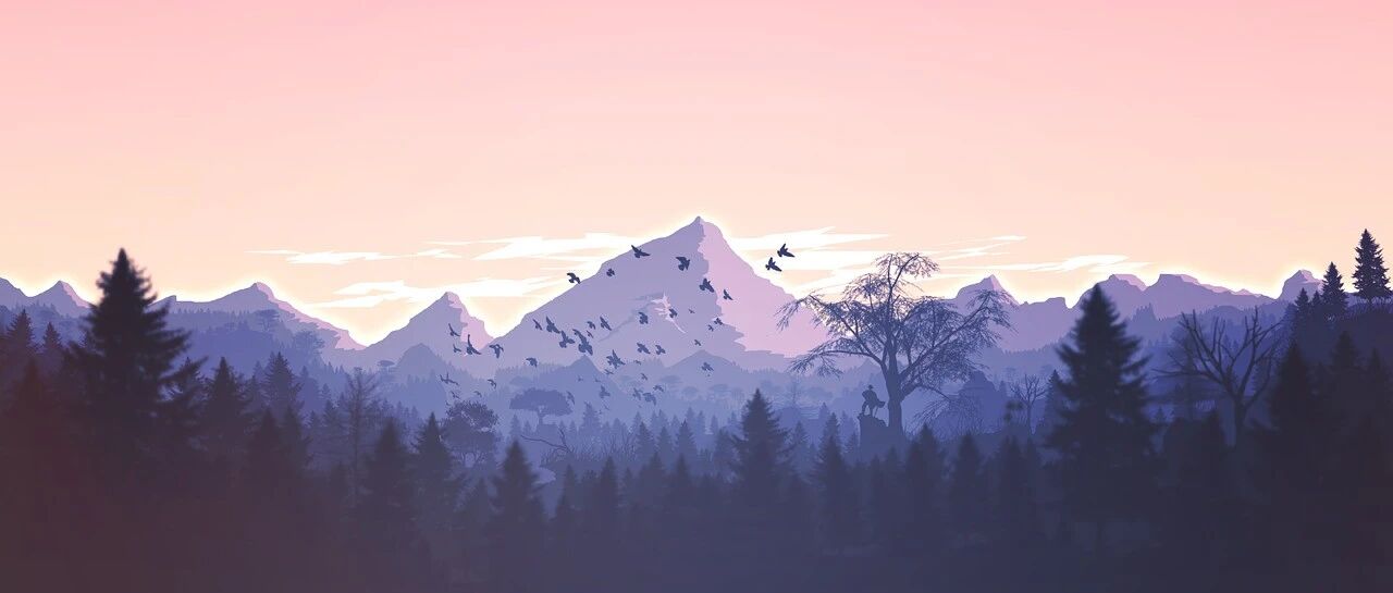 cover_image