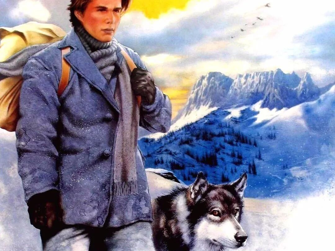 《雪地黄金犬》每个人都想养一只的阿拉斯加雪橇犬