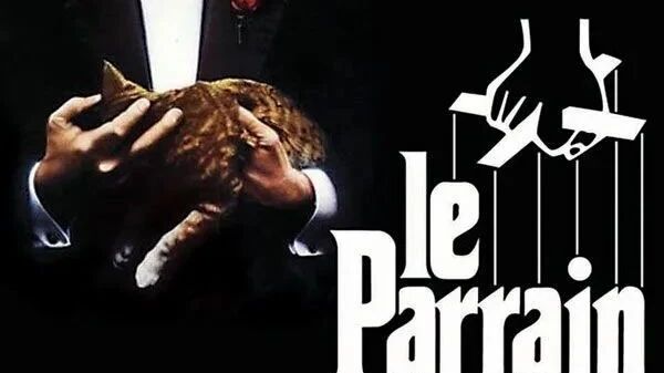 第45届奥斯卡奖最佳影片《教父》