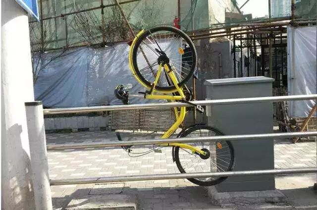 共享单车屡招损坏 福建共享单车公司频临倒闭