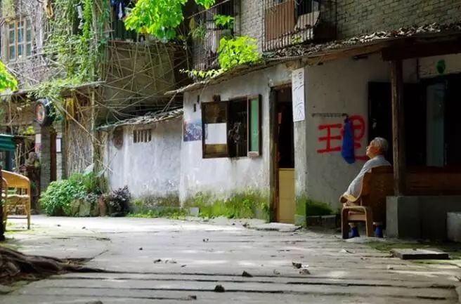 满是爬山虎的墙壁