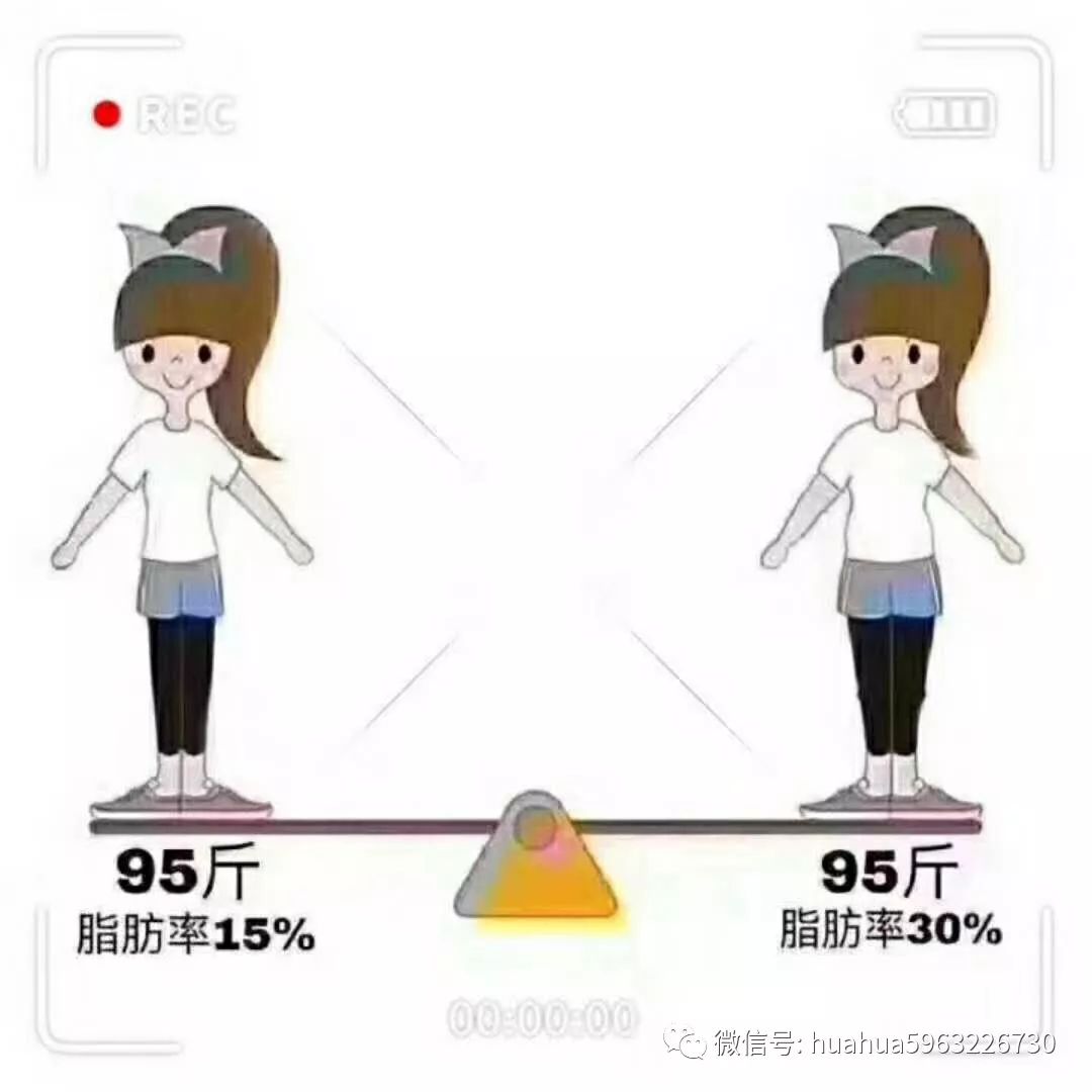 不要只看体重~关键是体型!