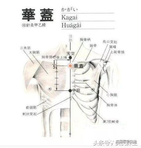 人体常见50个穴位位置,作用,按摩手法,图文取穴,纯干货