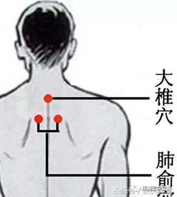 40,大椎