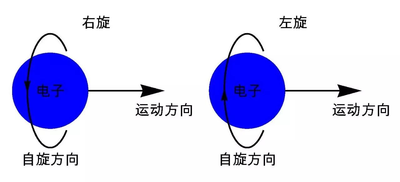 图2 电子的两种自旋方向.