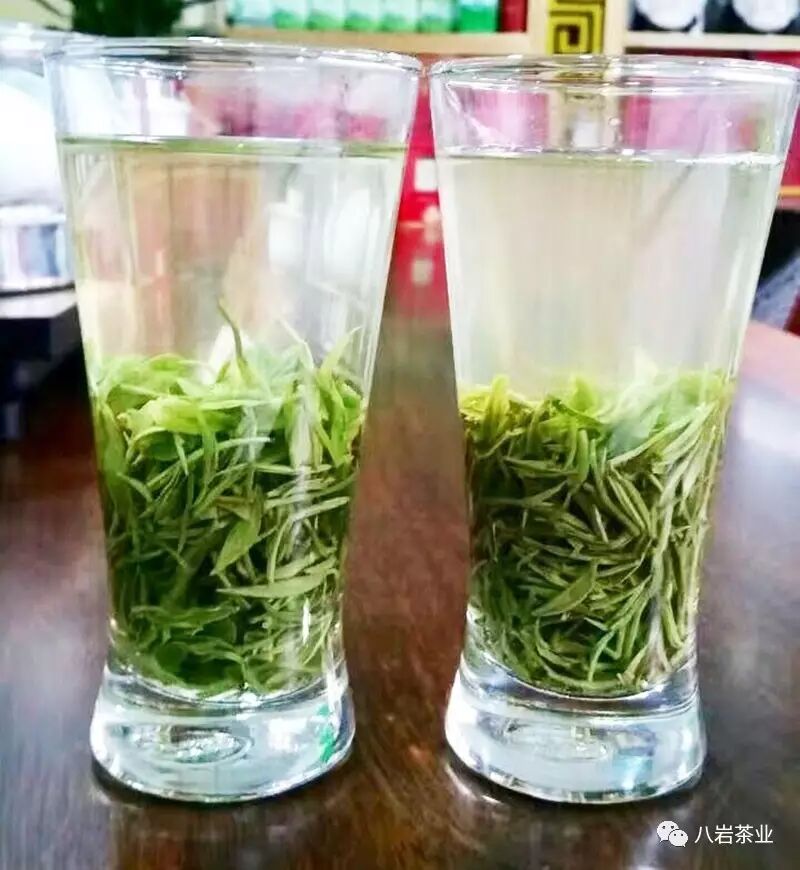 信阳毛尖多少钱一斤_信阳毛尖名气_信阳毛尖茶馆