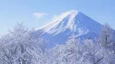 我读日本文学