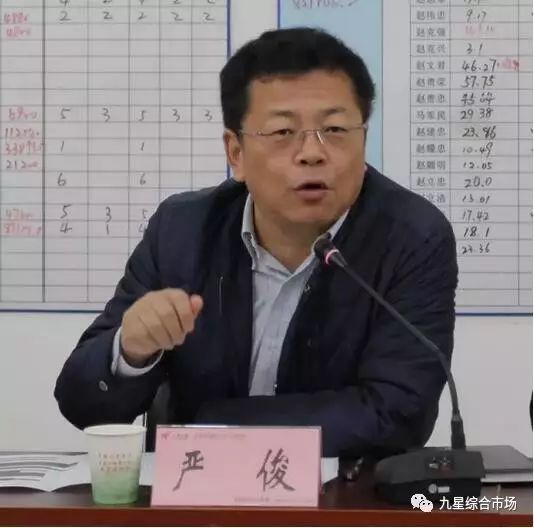 镇党委书记严俊,党委副书记,镇长沈俊华,副镇长王留忠,副处级干部夏明