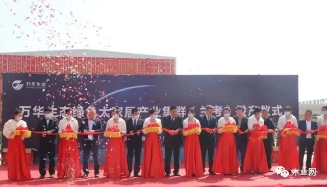 兰考万华生态绿色大家居产业集群投产_1