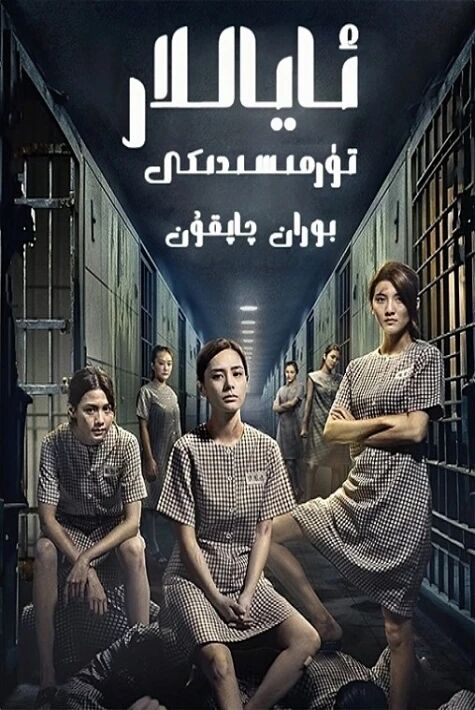 ئاياللار تۇرمسىكى بوران-چاپقۇن