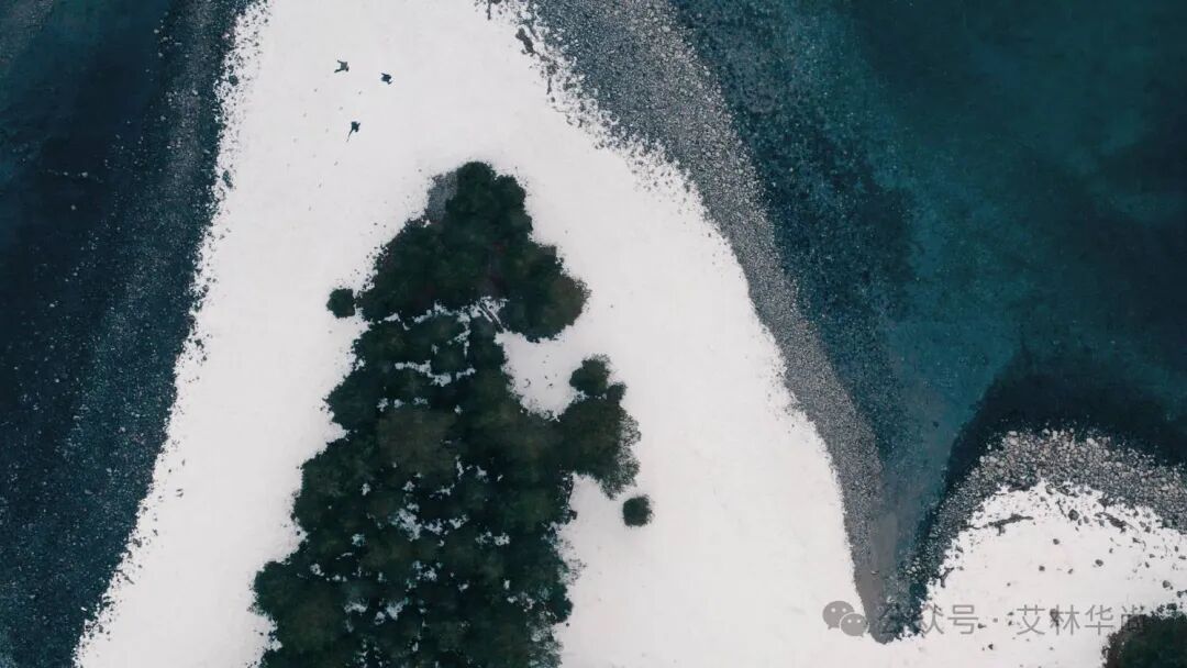 NNormal品牌正式登陆中国市场