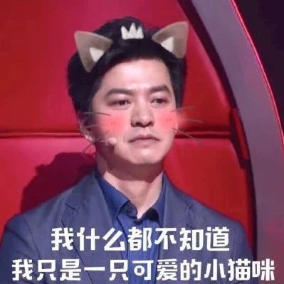 李健的段子也救不了中国好声音