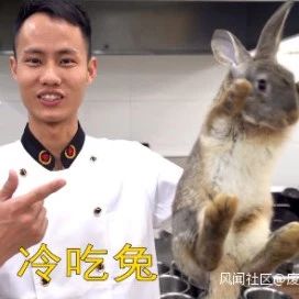 娃娃鱼之后,王刚又因为杀兔兔被批评了