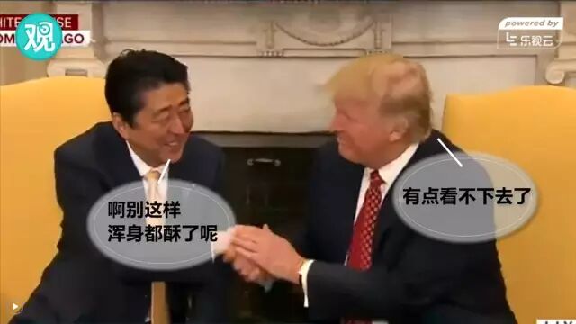 特朗普的握手神功,这次竟然没在习总面前上演(图)