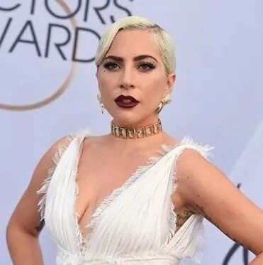 遛狗员遭枪击,Lady Gaga悬赏300多万…找狗